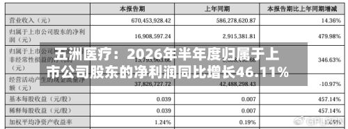 五洲医疗:2026年半年度归属于上市公司股东的净利润同比增长46.11%-第3张图片