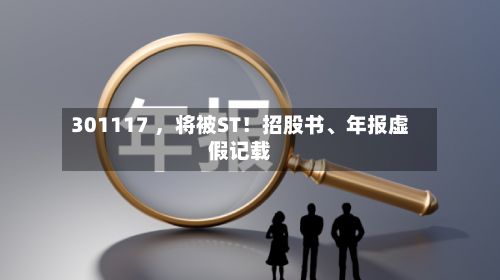 301117 ，将被ST！招股书、年报虚假记载-第2张图片