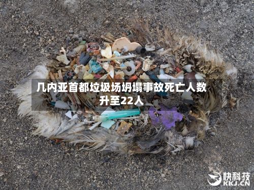 几内亚首都垃圾场坍塌事故死亡人数升至22人