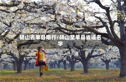 砀山去单县限行/砀山至单县省道名字