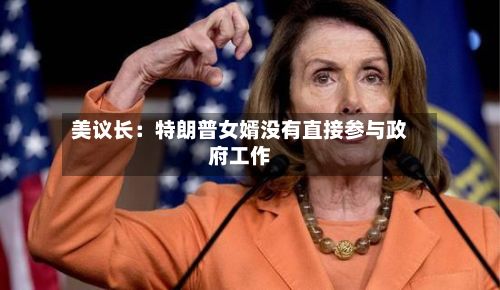 美议长：特朗普女婿没有直接参与政府工作-第2张图片