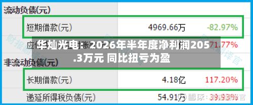 华灿光电:2026年半年度净利润205.3万元 同比扭亏为盈-第2张图片