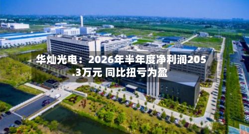 华灿光电:2026年半年度净利润205.3万元 同比扭亏为盈
