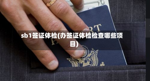 sb1签证体检(办签证体检检查哪些项目)-第3张图片