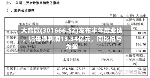 大普微(301666.SZ)发布半年度业绩	，归母净利润13.34亿元，同比扭亏为盈-第3张图片