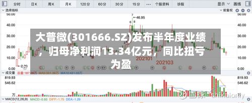 大普微(301666.SZ)发布半年度业绩，归母净利润13.34亿元	，同比扭亏为盈-第2张图片