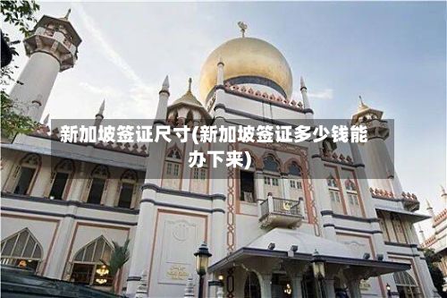 新加坡签证尺寸(新加坡签证多少钱能办下来)
