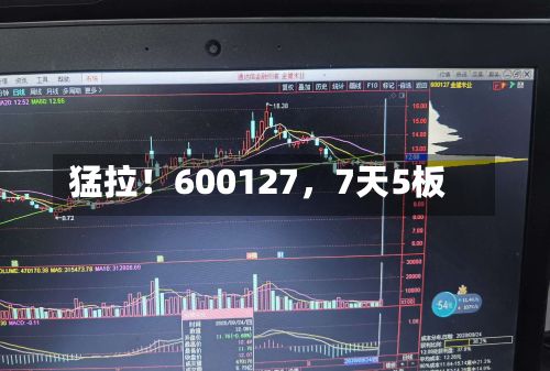 猛拉！600127，7天5板-第2张图片