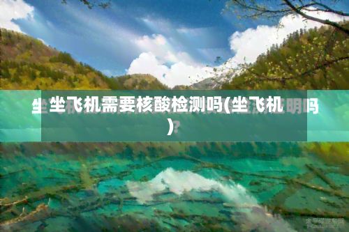 坐飞机需要核酸检测吗(坐飞机)