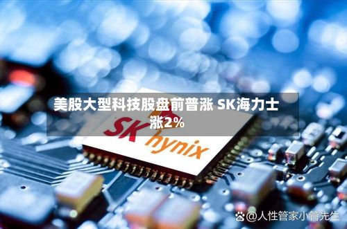 美股大型科技股盘前普涨 SK海力士涨2%
