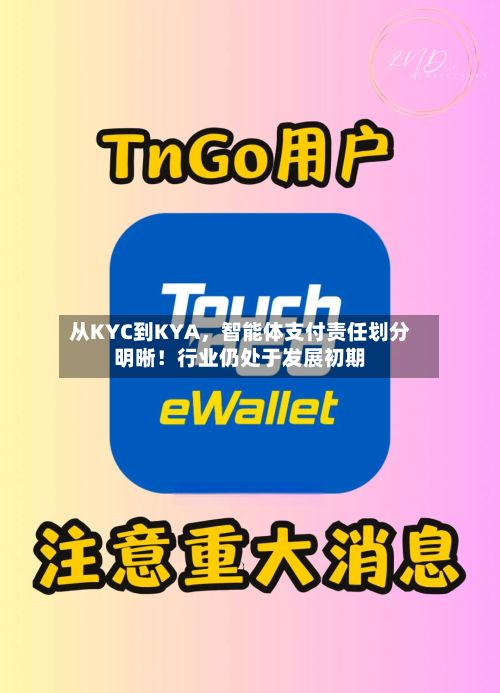 从KYC到KYA，智能体支付责任划分明晰！行业仍处于发展初期