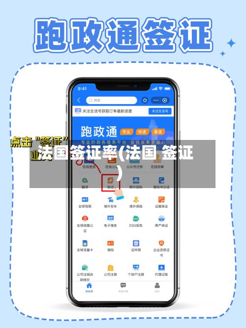 法国签证率(法国 签证)