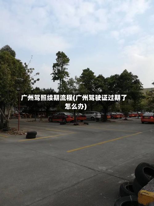 广州驾照续期流程(广州驾驶证过期了怎么办)-第2张图片