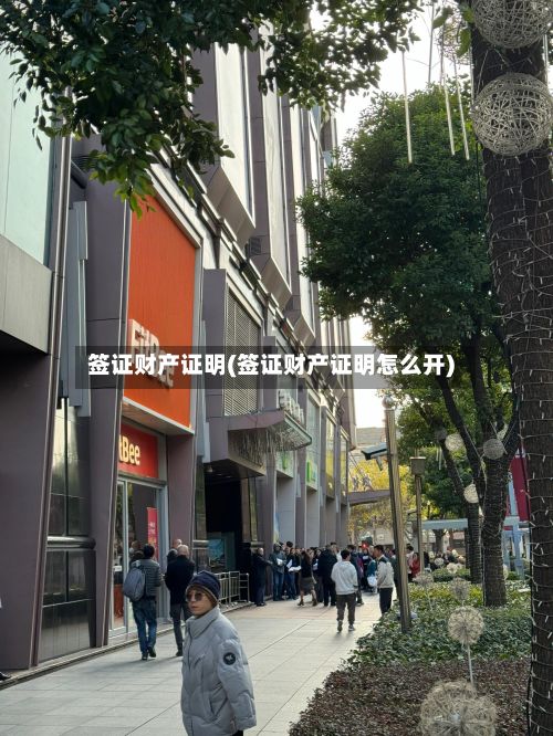 签证财产证明(签证财产证明怎么开)-第2张图片