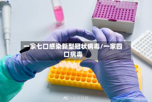一家七口感染新型冠状病毒/一家四口病毒-第2张图片