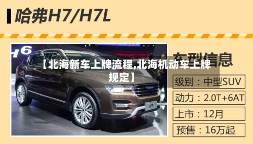 【北海新车上牌流程,北海机动车上牌规定】-第2张图片
