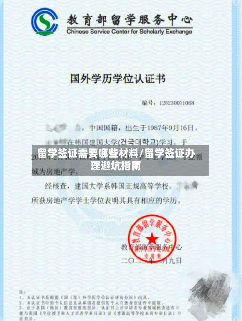 留学签证需要哪些材料/留学签证办理避坑指南