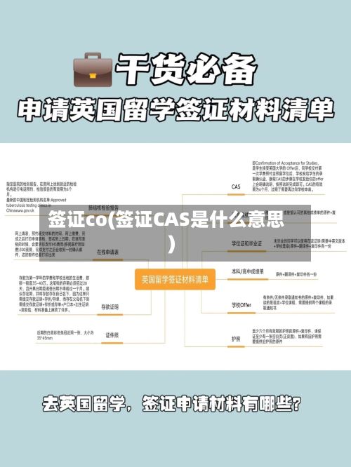 签证co(签证CAS是什么意思)