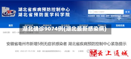 湖北确诊9074例(湖北最新感染病)