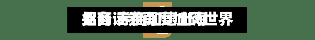 招商证券再度加码世界
业务 券商加速出海-第2张图片