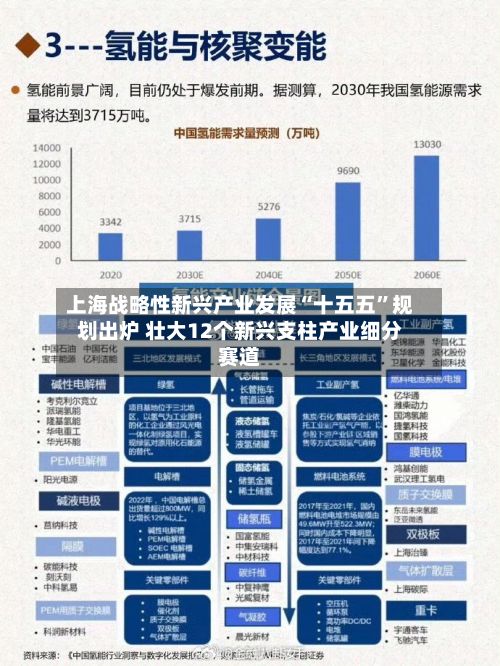 上海战略性新兴产业发展“十五五”规划出炉 壮大12个新兴支柱产业细分赛道-第2张图片