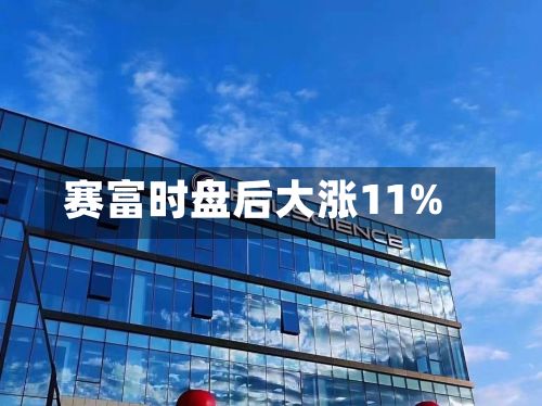 赛富时盘后大涨11%