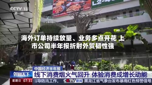 海外订单持续放量、业务多点开花 上市公司半年报折射外贸韧性强-第3张图片