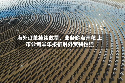 海外订单持续放量、业务多点开花 上市公司半年报折射外贸韧性强-第2张图片