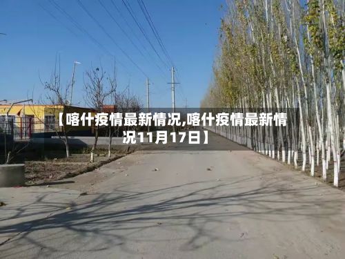 【喀什疫情最新情况,喀什疫情最新情况11月17日】