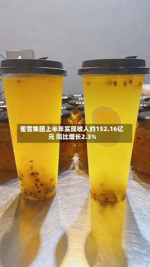 蜜雪集团上半年实现收入约152.16亿元 同比增长2.3%-第3张图片