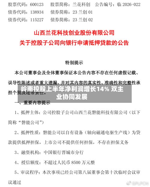 岭南控股上半年净利润增长14% 双主业协同发展-第2张图片