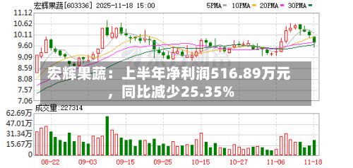 宏辉果蔬：上半年净利润516.89万元，同比减少25.35%-第2张图片