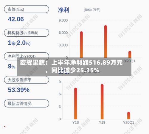 宏辉果蔬：上半年净利润516.89万元，同比减少25.35%-第3张图片