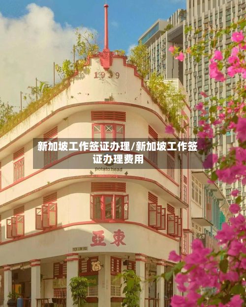 新加坡工作签证办理/新加坡工作签证办理费用