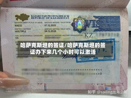 哈萨克斯坦的签证/哈萨克斯坦的签证办下来几个小时可以激活