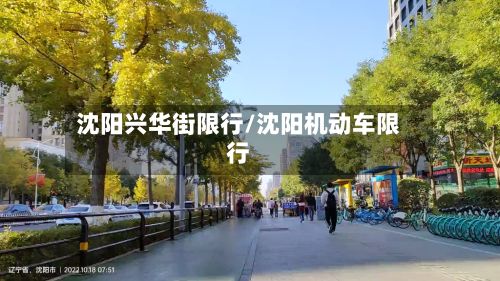 沈阳兴华街限行/沈阳机动车限行-第2张图片