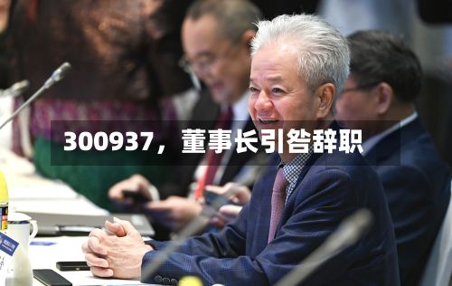 300937,董事长引咎辞职