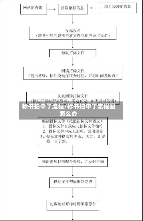 标书拍中了流程/标书拍中了流程图怎么办
