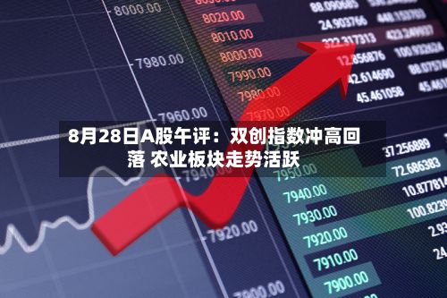 8月28日A股午评：双创指数冲高回落 农业板块走势活跃-第2张图片
