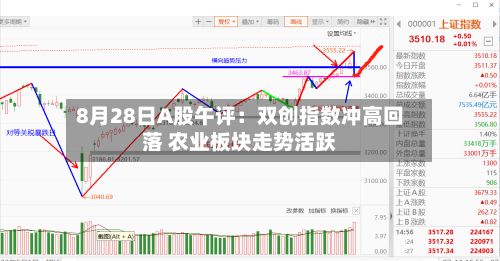8月28日A股午评：双创指数冲高回落 农业板块走势活跃-第3张图片