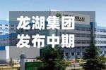 龙湖集团发布中期业绩 股东应占溢利19.61亿元-第1张图片