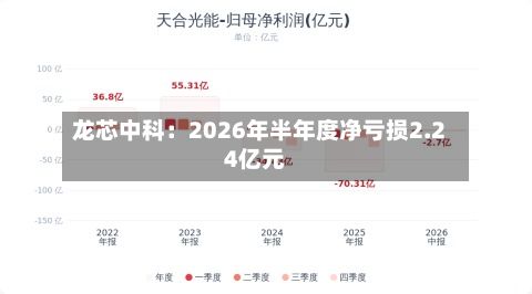 龙芯中科:2026年半年度净亏损2.24亿元