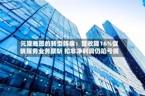 元隆雅图的转型阵痛：营收降16%促销服务业务腰斩 扣非净利润仍陷亏损-第3张图片
