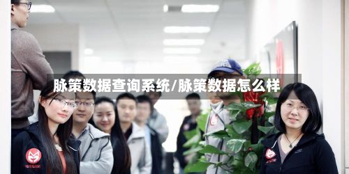 脉策数据查询系统/脉策数据怎么样