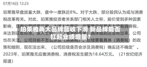 珀莱雅两大品牌营收下滑 新品牌能否扛起业绩增量?