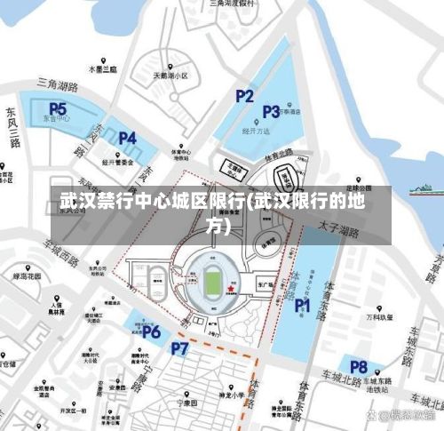 武汉禁行中心城区限行(武汉限行的地方)