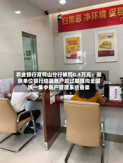 农业银行双鸭山分行被罚0.5万元:撤销单位银行结算账户超过期限向全国统一集中账户管理系统备案