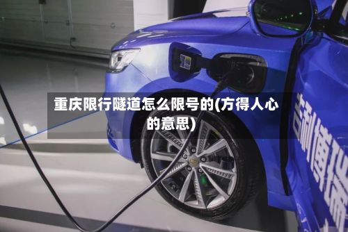 重庆限行隧道怎么限号的(方得人心的意思)
