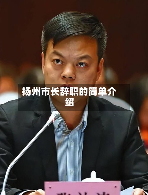 扬州市长辞职的简单介绍