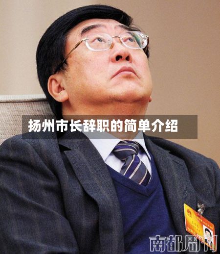 扬州市长辞职的简单介绍-第2张图片